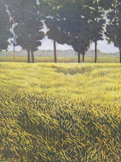 OLIVIERO MASI: Incisione all'Acquaforte cm. 70X50, Firmata, Numerata. STUPENDA!!