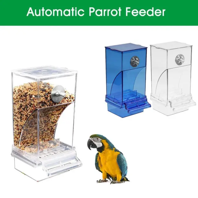 Alimentador automático de loros sin desorden para pájaros - Bebedor Containe - Comida NeHOT`` GB