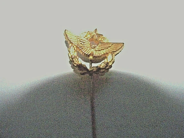 Épingle à Cravate Insigne Brevet De Pilote Armée De L'Air - Laiton Doré - Occasion Bon état