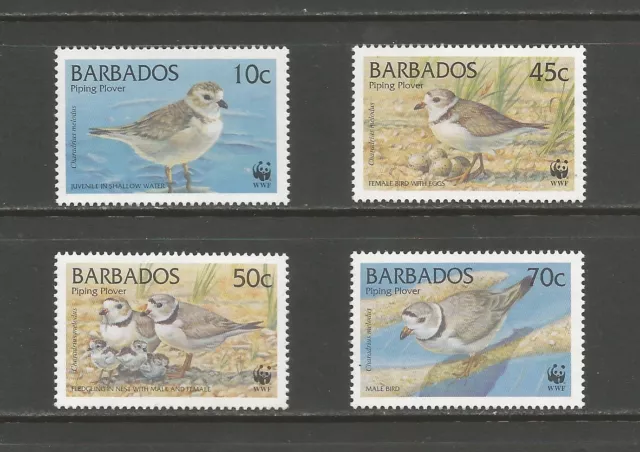 Barbados 1999 Endangered Species. Piping Plover Bird, MNH set.  SG1134-7