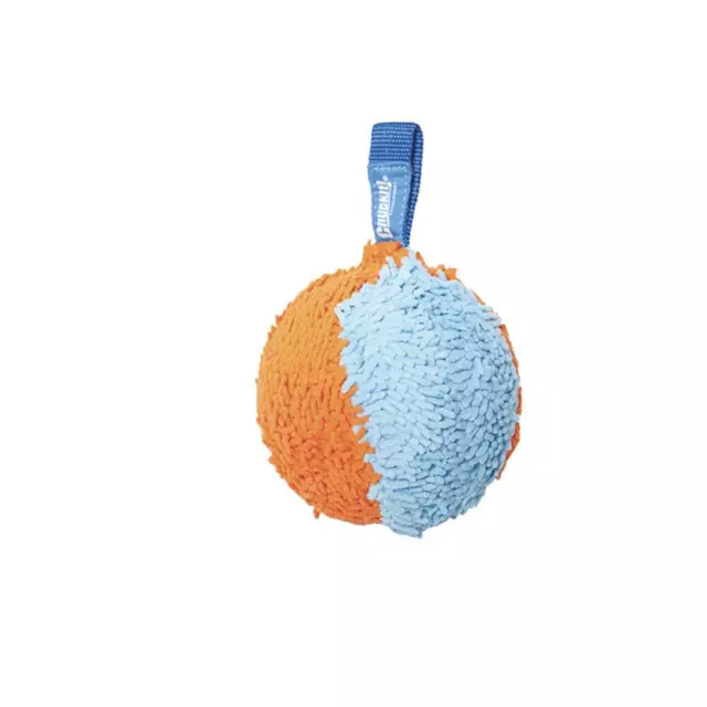 Chuckit! Indoor Shaker Dog Toy Ball, Medium breeds 3