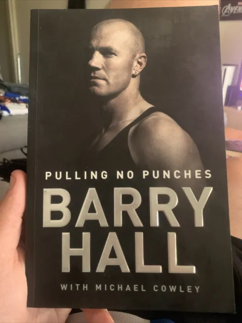 Pulling No Punches by Barry Hall (Paperback, 2011)