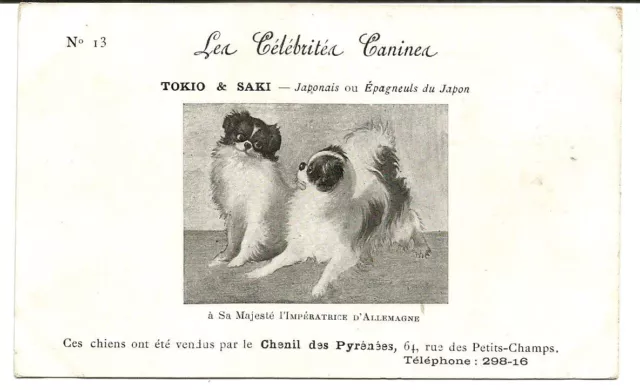 Tokio & Saki,épagneuls du Japon à sa Majesté l'Impératrice d'Allemagne.Rare CPA.