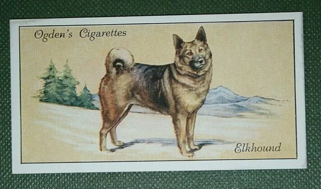 ELKHOUND   Vintage 1930's Illustrated Card  AD26