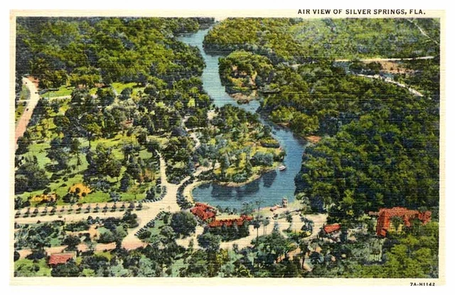 Postcard AERIAL VIEW SCENE Silver Springs Florida FL AR7292