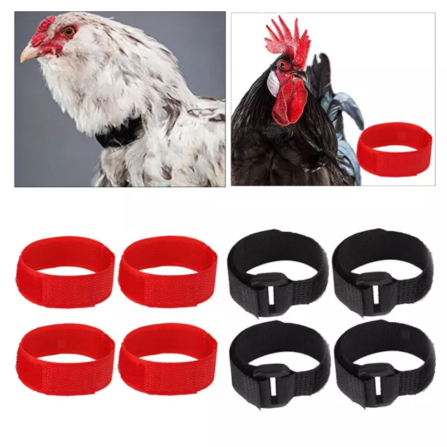 8 Stück Hühnerhalsband Anti Crow Rooster Halsband Für Geflügel Hühnerente