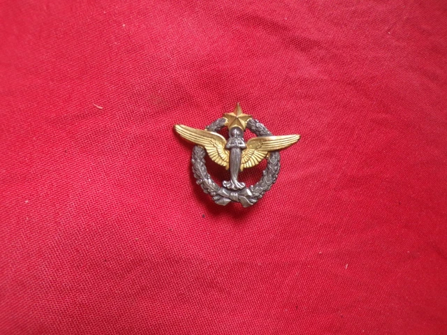 Armée De L'air - INSIGNE PELERINAGE MILITAIRE AIR 1963 A LOURDES Arthus Bertrand 481009286