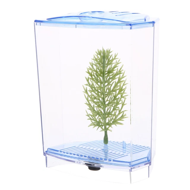 BETTA BOX INCUBAZIONE Pesci Dividitori Trasparenti Acquario Asilo Casa ...