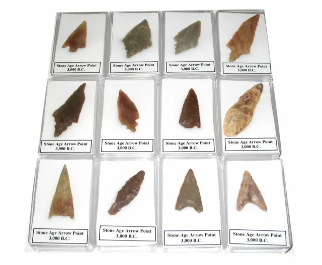 Neolithic stone age tool arrow head point in display case great gifts 1 per bid