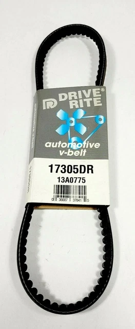 Accessorio Guida Cintura Drive-Rite 17305DR