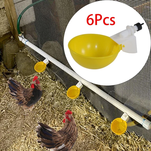 6 tazze per acqua di pollo, ciotola automatica per acqua di pollo per