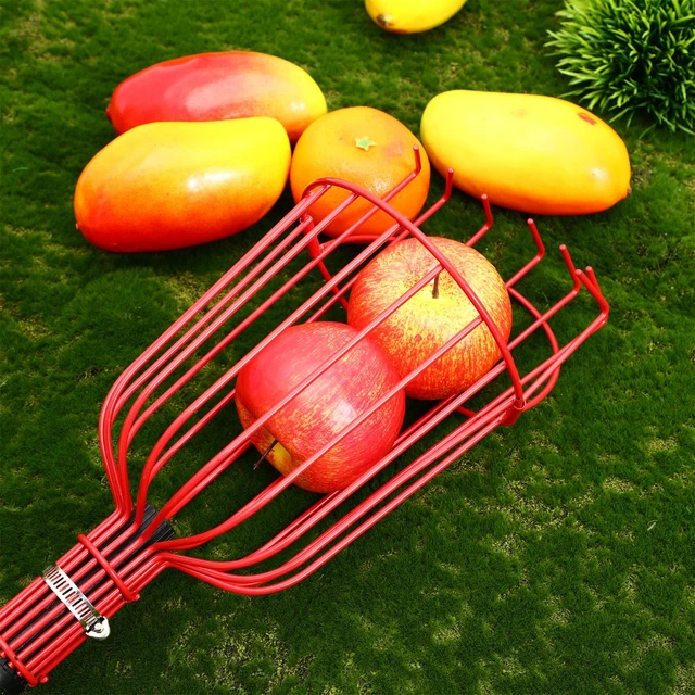 OFFSCH 1Pc Outil De Cueillette De Fruits Cueilleur De Fruits