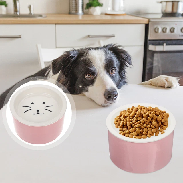 Cat Bowl Dog Bowl Bowl Plates Ceramic Auto Feeder Dog Feeding Station