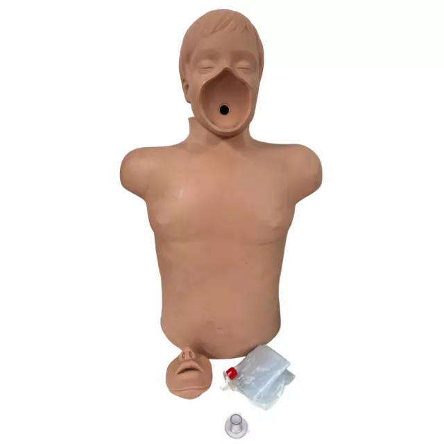 Simulaids Brad Adult CPR Manikin Training Torso EMT Nursing Mannequin