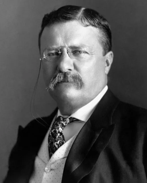 President Theodore Roosevelt Portrait 8X10 Photograph Reprint