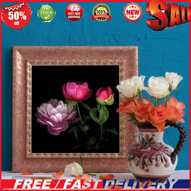 Chinese Herbaceous Peony Oil Paint By Numbers Kit DIY Frameless Drawing (B2188)