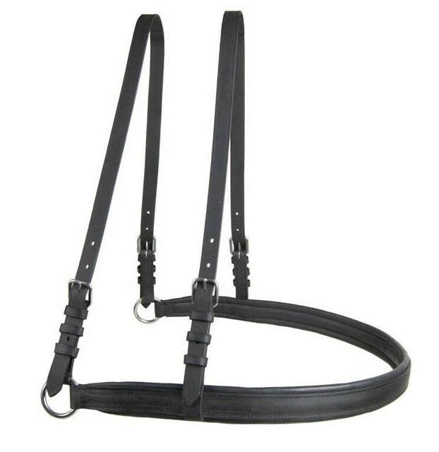 Single harness EUROTECH COMBI Ideal Equestrian | De Menner
