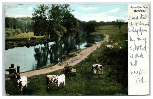 Postcard On The River Lagan Belfast Northern Ireland posted 1905