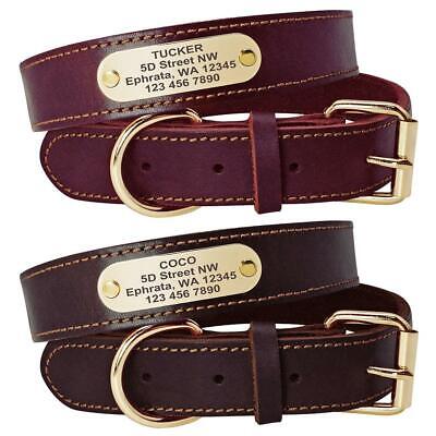 Genuine Leather Dog Collar - Engraved Collars for Medium & Large Dogs