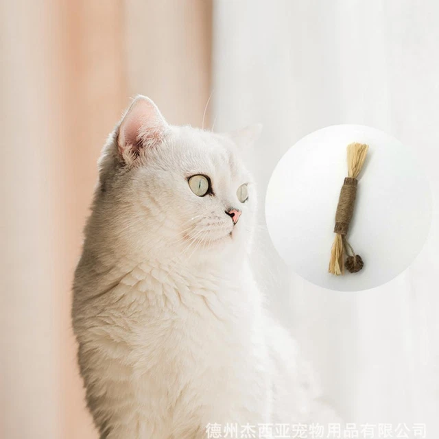Catnip Toys Cat Wand Silvervine Sticks Cat Toys For Indoor Cats Chew Toy I1C4