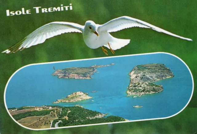 CARTOLINA 1990 ITALIA FOGGIA ISOLE TREMITI SALUTI  ITALY postcard