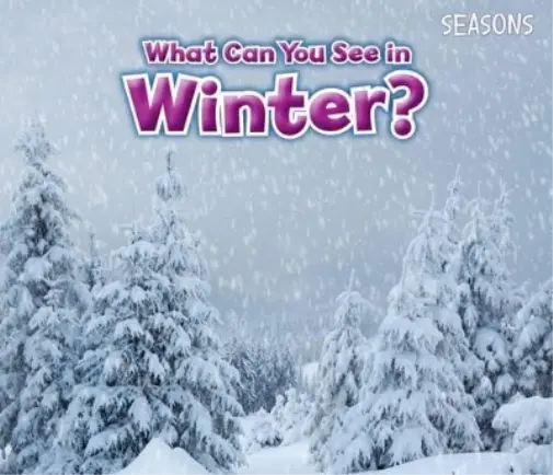 Sian Smith What Can You See In Winter? (Taschenbuch) Seasons