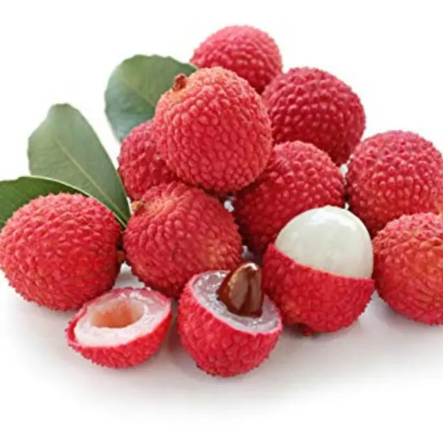 8  Lychee fruit, sweet Litchi Chinensis tropical exotic EDIBLE Seed Hột trái vải