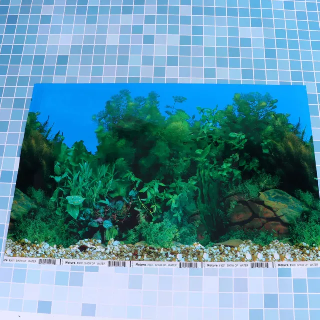 Adesivo 30 x 42 cm vasca per pesci 10 galloni sfondo acquario 3D bilaterale