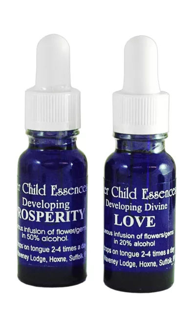 15ml Inner Child Vibrational Essence (Intimacy - Vision)