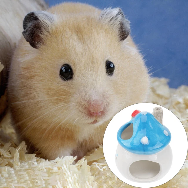 Ceramica Nido Per Criceti Pelle Di Topo Capanna Del Nascondiglio Criceto