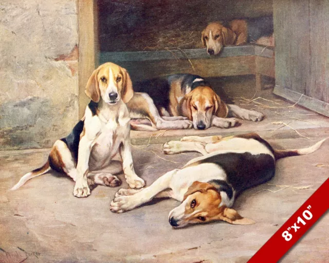 Beagle Hounds Dogs Pet Puppy Dog Art Painting Print On Real Canvas