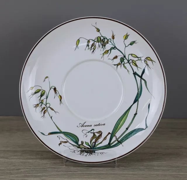 Villeroy & Boch V&B Botanica Unterteller Untertasse Untere Ø 16,7 cm