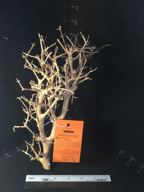 Tantora DRIFTWOOD -Unique Wild Hardwood Moss Tree cured shrimp fish safe decor