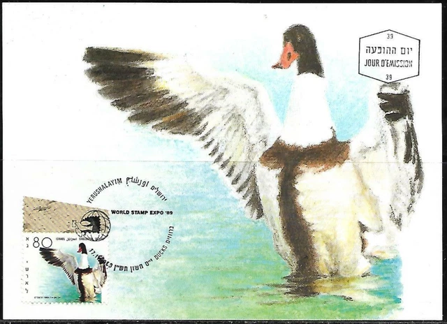 Israel 1989 Maximum Card Shelduck Ducks Of Israel