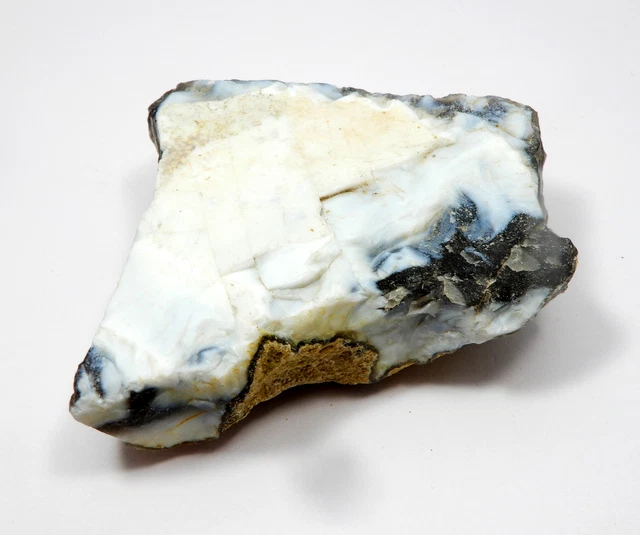Natural Earth Minded Untreated 394.05 Ct Huge White line Opal Rough Loose Gems