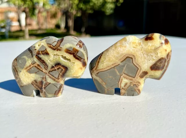 Medium Sized Septarian Nodule Buffalo/Bison Carving