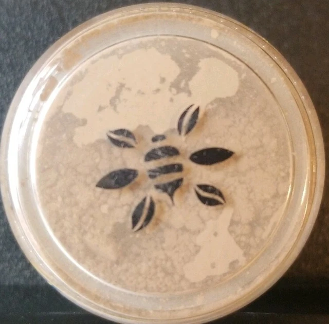 Honeybee Gardens Chai Powder Colors Stakable Mineral 2 Gram