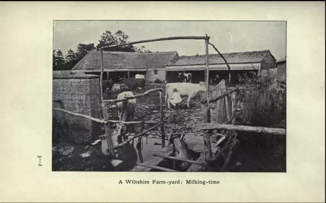 250 Vintage & Rare books on Genealogy,Social & General History of Wiltshire