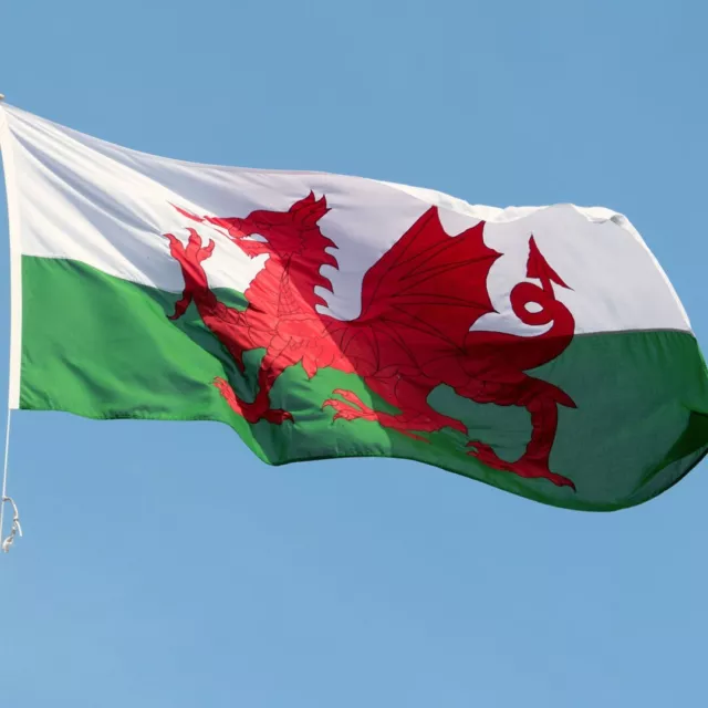 Welsh Cymru Wales Flag Extra Large 5 x 3ft (150cm x 90cm) With Eyelets St David