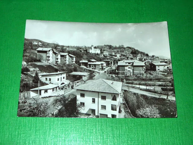 Cartolina Colazza - Lago Maggiore - Scorcio panoramico 1966