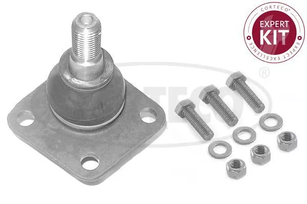 CORTECO Rotule de Suspension Avant Convient pour Fiat Doblo Palio Sienne Strada