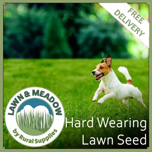 Hard Wear Grass Seed Garden Lawns Sport Fields Paddocks Tough Fast Growing