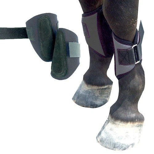 Intrepid International Mini Horse Splint Boots mini horse, Black