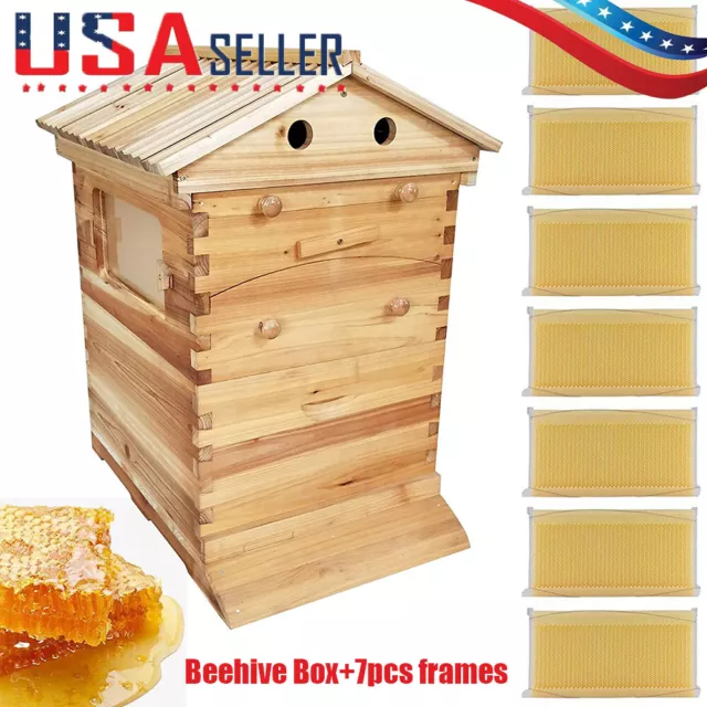 Bee Hive Beekeeping Brood Cedarwood House Box &7PCS Auto Flow Beehive Frames set