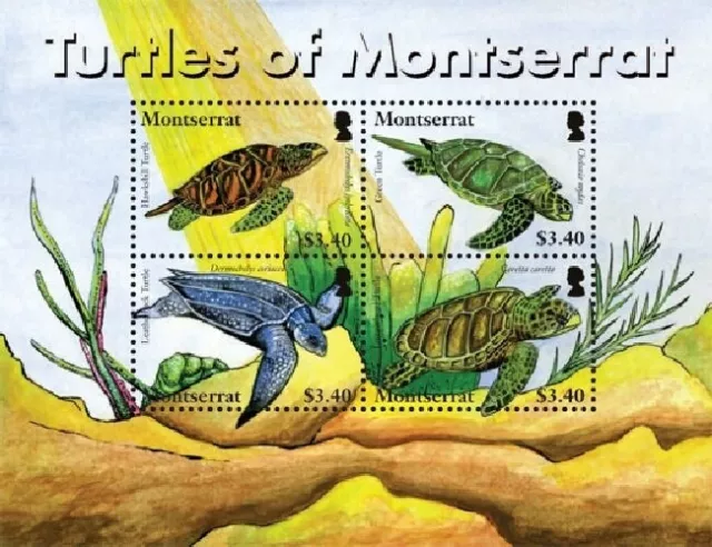 Montserrat - 2007 Turtles of Montserrat - Sheet of 4 - MNH