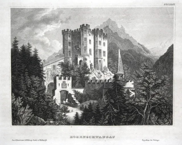 Castello Hohenschwangau Schwangau Baviera Vista View Incisione Acciaio 1850