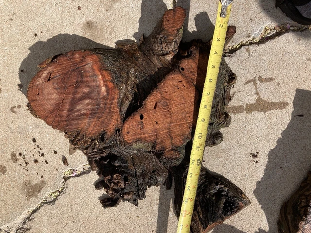 "Bonita losa de borde vivo de madera de burl mezquite desierto de Arizona 16""x16""x1,75"""