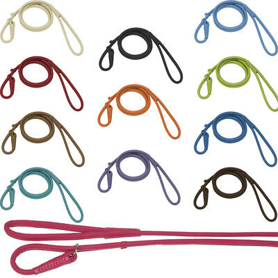 Soft Rolled Genuine Leather Padded Slip Lead for Dogs 4 Sizes 12 Colors