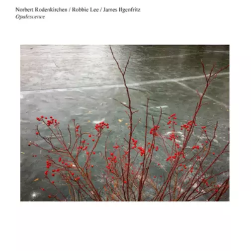 Norbert Rodenkirchen/Robbie Lee/James Ilgenfritz Opalescence (CD) Album