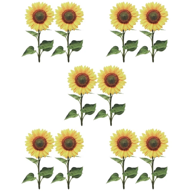 Carta girasole decorazioni esterne palo prato floreale giallo acrilico
